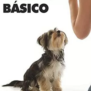 Imagem de capa para o Ebook Treinamento Básico para cães