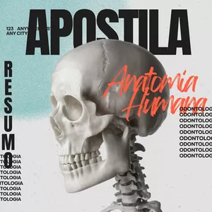 Imagem de capa para o Ebook Apostila de Resumo Anatomia Humana dentro da Odontologia.
