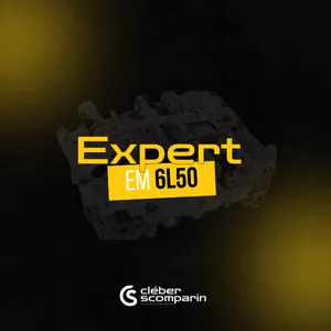 Imagem de capa para o Curso online  Expert em 6L50