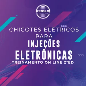 Chicotes elétricos para injeções programáveis - Treinamento on line 2ªed