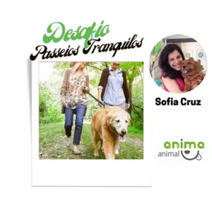 Imagem de capa para o Evento online Desafio 30 dias - Passeios Tranquilos