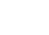 VuLingo logo
