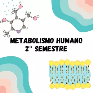 Imagem de capa para o Ebook Metabolismo humano 2° semestre