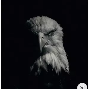 Curso Mentoria para liderança 