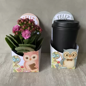 Imagem de capa para o Curso online Cachepot para Flor de Dia dos Professores - Duas Opções de Cores