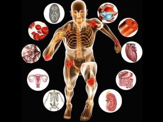 Modulo da fisiologia humanas dentre todas modalidades 