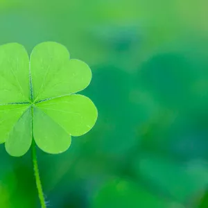 Imagem de capa para o Curso online Fechamento Inteligente 