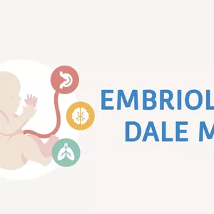 Imagem principal do produto Dale Embrio Bloque 2