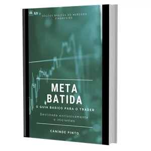 Imagem de capa para o Ebook Meta Batida