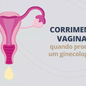 Imagem de capa para o Ebook Curtimento vaginal