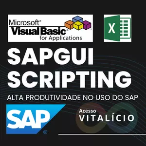 Imagem de capa para o Curso online SAP GUI SCRIPTING COM VBA