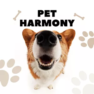 Cover image for Ebook Pet Harmony