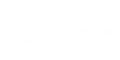 Trendwolves Academy