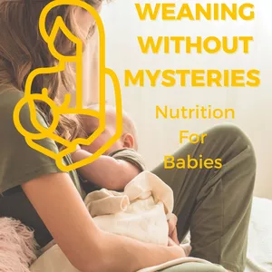 Cover image for Ebook Weaning Without Mysteries