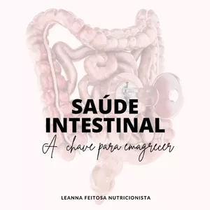 Imagem de capa para o Ebook E-book Saúde Intestinal a Chave para Emagrecer