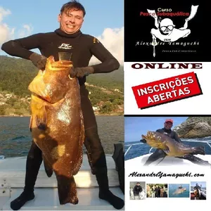 Imagem de capa para o Curso online Pesca Sub com Alexandre Yamaguchi