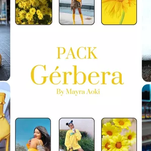 Imagem do curso Pack Gérberas Presets