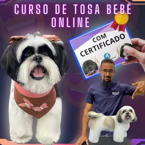 Imagem do curso Curso de Tosa Bebê