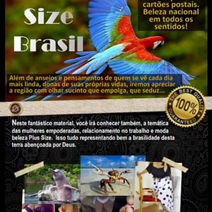 Imagem de capa para o Ebook Plus Size Brasil-BR