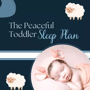 Cover image for Online course The Peaceful Toddler Sleep Plan