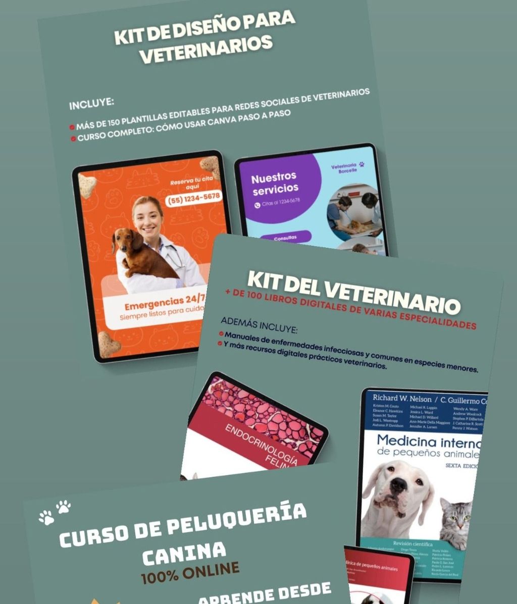 KIT VETERINARIO DE ANIMALES MENORES