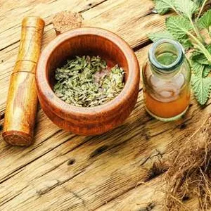 Imagem de capa para o Curso online O Poder das ervas medicinais