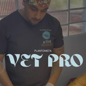 Imagem de capa para o Curso online Plantonista VETPRO - O guia do Plantonista Veterinário