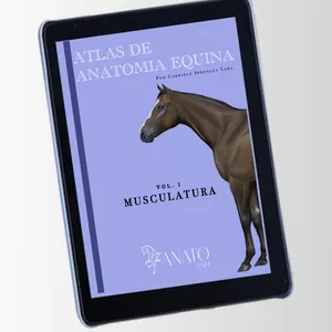 Curso ATLAS DE ANATOMIA EQUINA VOL I