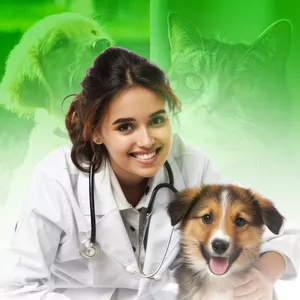 Imagem de capa para o Curso online AUSCULTAÇÃO ALÉM DO SOPRO