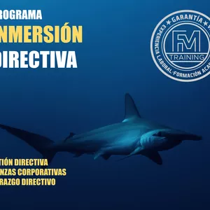 Imagen de portada para Curso online Programa de Inmersión Directiva