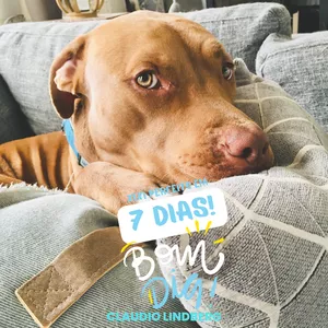 Imagem de capa para o Ebook XIXI PERFEITO EM 7 DIAS!