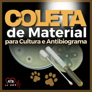 Imagem de capa para o Curso online Coleta de Material para Cultura e Antibiograma