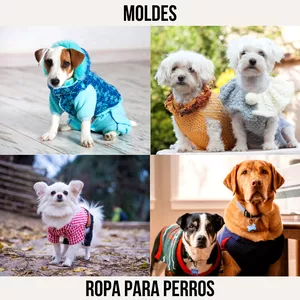 Imagen de portada para Curso online Moldes de ropa para perros