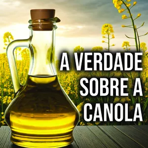 Imagem de capa para o Ebook A VERDADE SOBRE A CANOLA