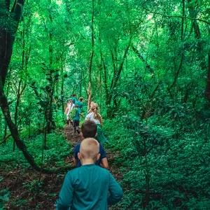 Curso ESCOLA DA FLORESTA: EDUCAÇÃO AO AR LIVRE
