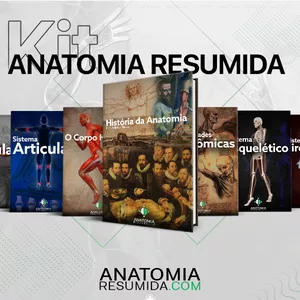 Kit Anatomia Resumida por Relielton Maciel