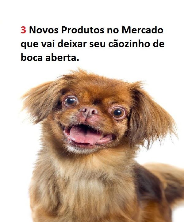 Imagem do curso 3 Novos  produto no mercado para seu cãozinho fazer xixi