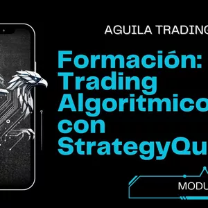 Imagen de portada para Curso online Formacion Trading Algoritmico con Strategy Quant (3 cuotas)