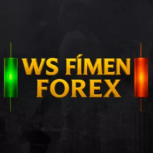 Imagem de capa para o Curso online WS Fímen - Forex