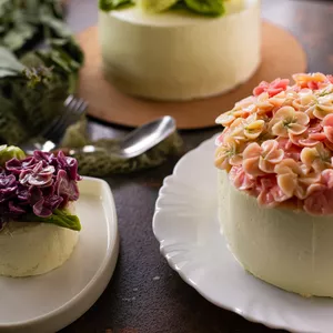 Imagem de capa para o Curso online Buttercream