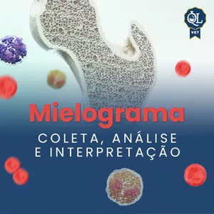 Imagem de capa para o Curso online Mielograma da coleta à interpretação (Módulos 1+2)