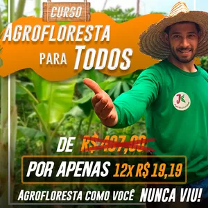 Imagem de capa para o Evento online A FORMULA MÁGICA DA AGROFLORESTA