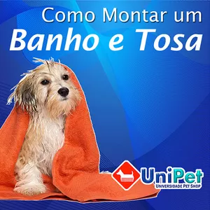 Curso Como Montar um Banho e Tosa