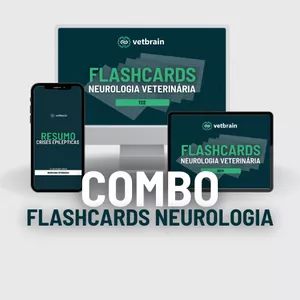 Imagem de capa para o Ebook COMBO NEURO - Todos os flashcards e resumos de Neurologia Veterinária