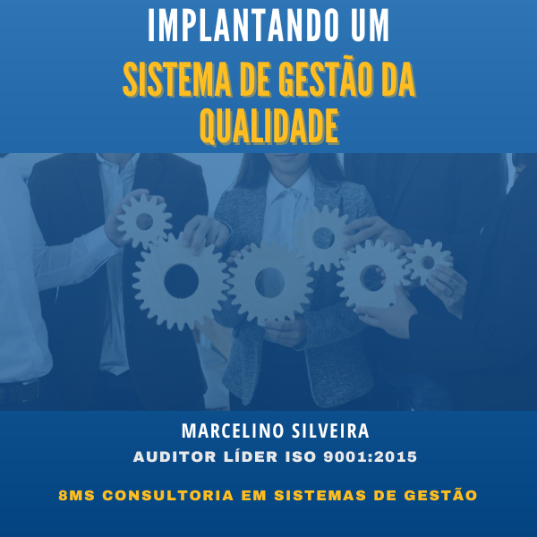 Imagem do curso Guia Implantando um Sistema de Gestão da Qualidade - ISO 9001:2015