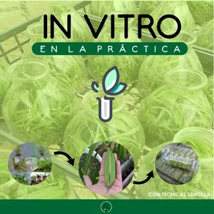 Imagen de portada para Ebook IN VITRO EN LA PRÁCTICA