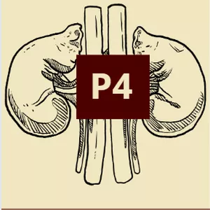 Imagem de capa para o Ebook AV1- Sistema Urinário