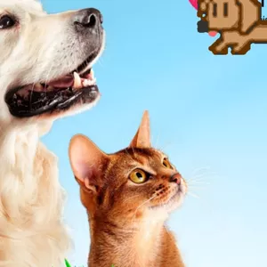 Imagen de portada para Ebook Manual de cosmetica veterinaria