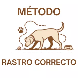 Imagen de portada para Curso online pipí en su lugar