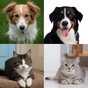 Imagem de capa para o Ebook Guia Completo para Cuidar do seu Pet